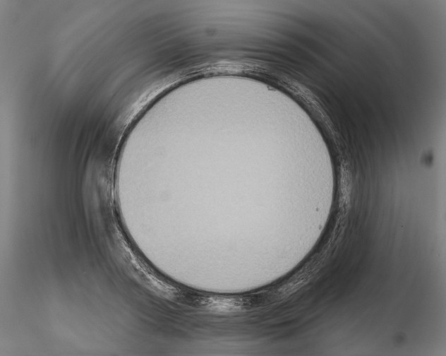 X0000115090794200912081233