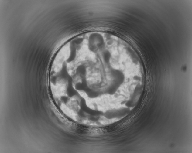 X0000115090795200912081233