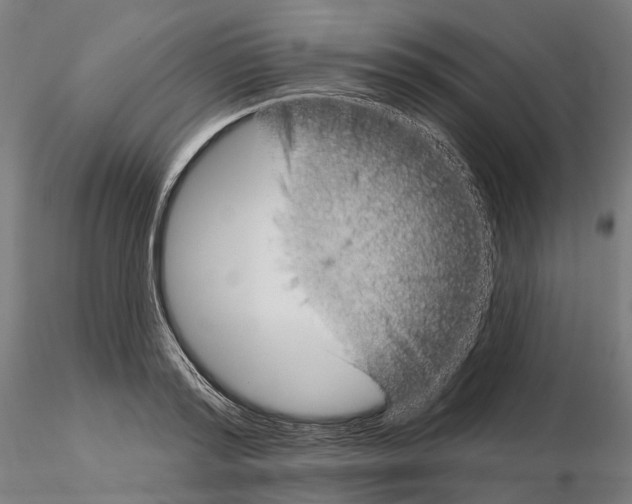 X0000115090796200912081233