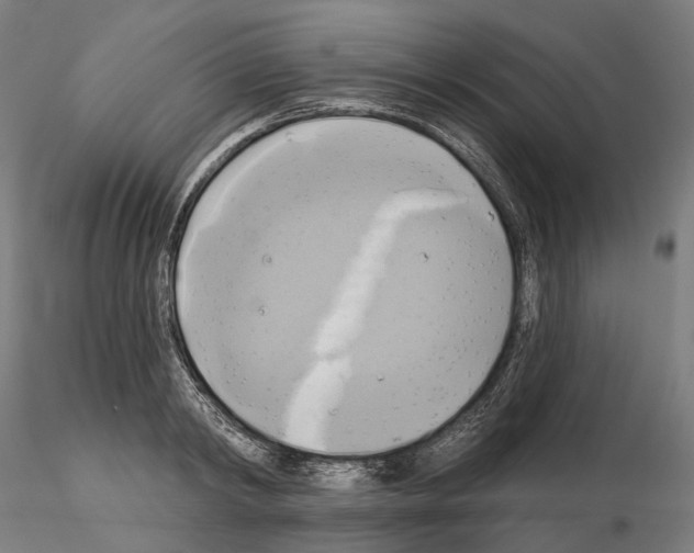 X0000115090798200912081233