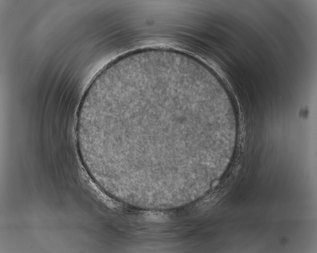 X0000115090799200912081233