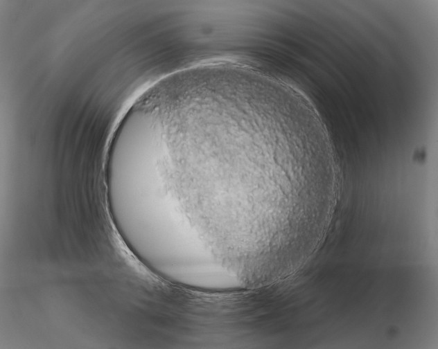 X0000115090800200912081233