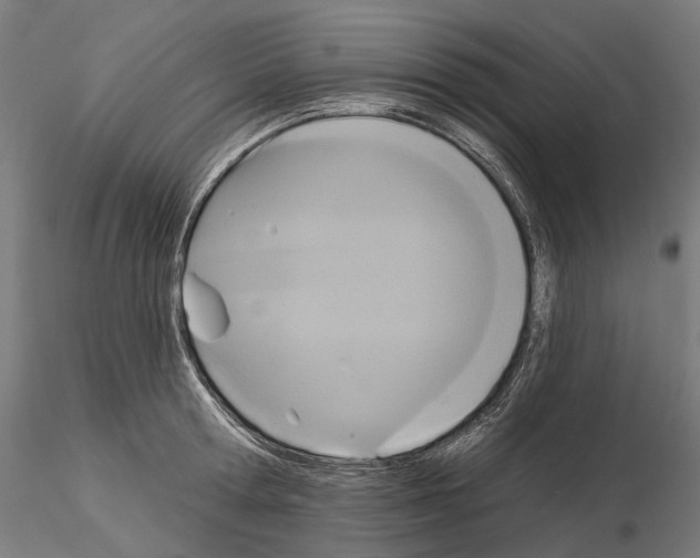 X0000115090802200912081233