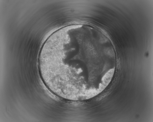 X0000115090803200912081233