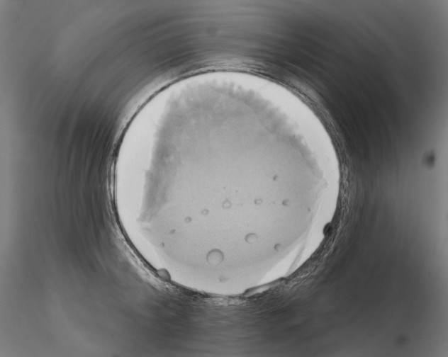X0000115090804200912081233
