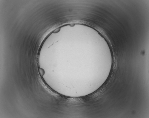 X0000115090805200912081233