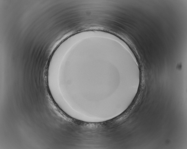 X0000115090806200912081233