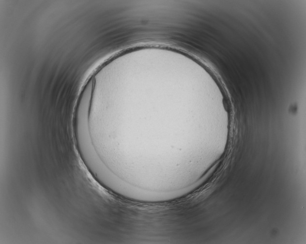 X0000115090807200912081233