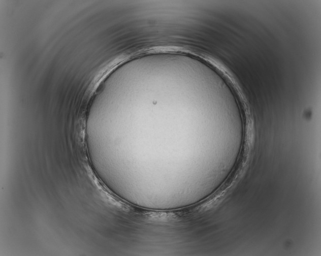 X0000115090809200912081233