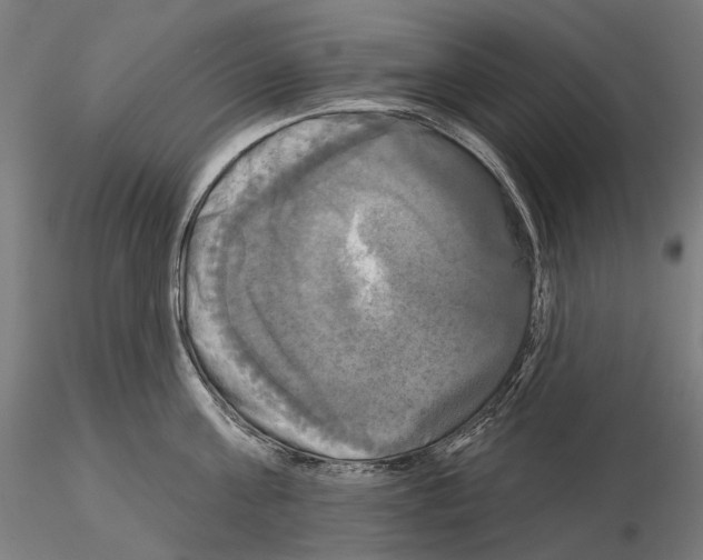 X0000115090811200912081233