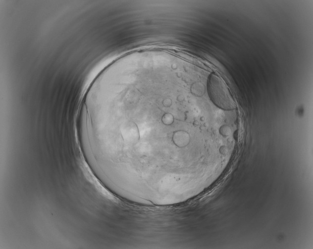 X0000115090812200912081233
