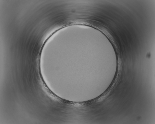 X0000115090814200912081233