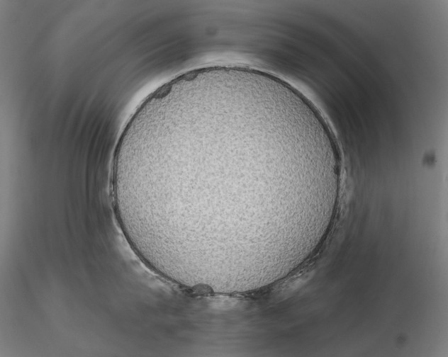 X0000115090815200912081233
