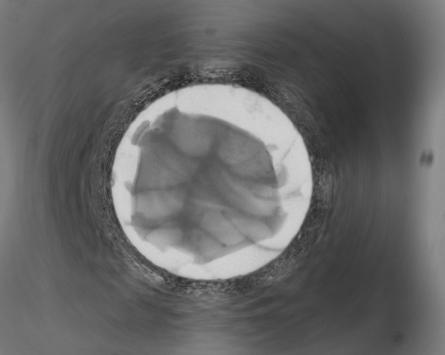 X0000115090817200912081232