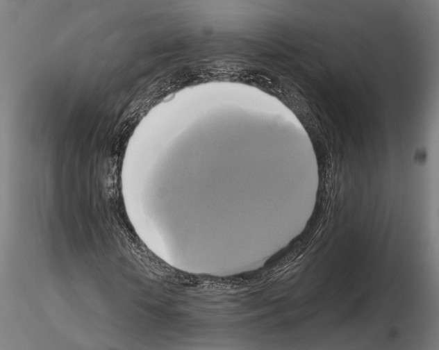X0000115090818200912081232