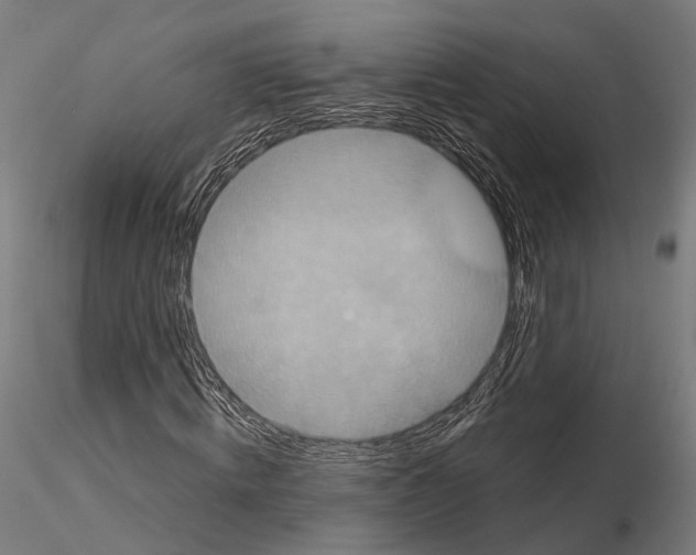 X0000115090820200912081232