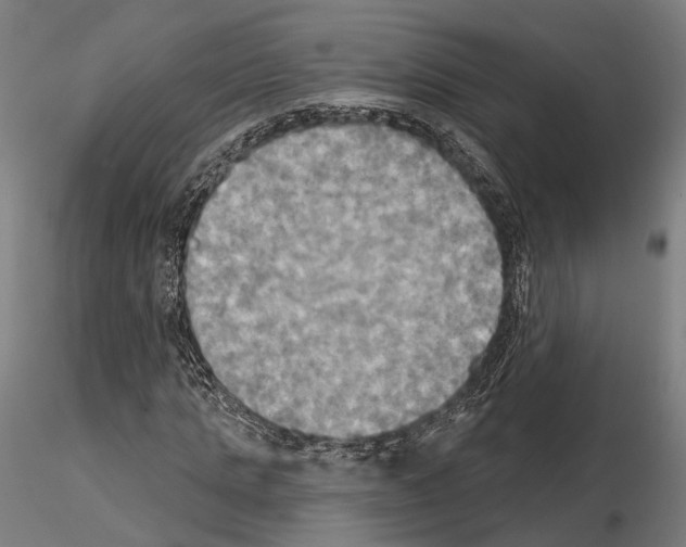 X0000115090821200912081232