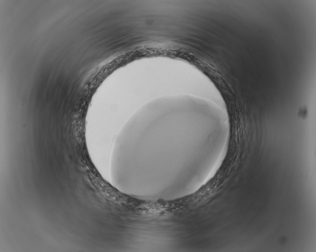X0000115090822200912081232