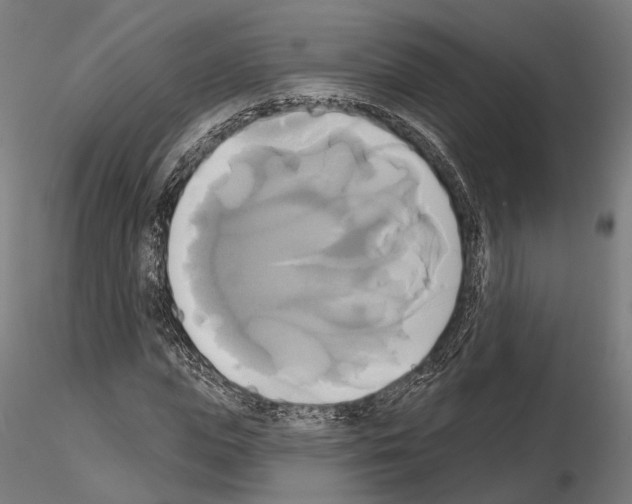 X0000115090823200912081232