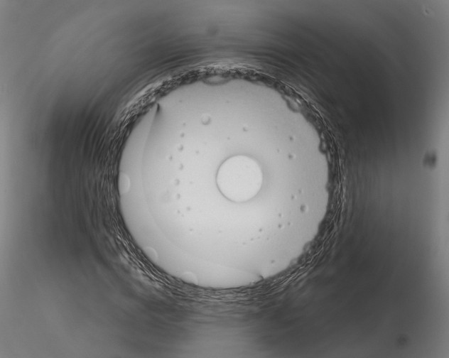 X0000115090824200912081232
