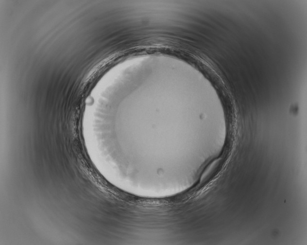 X0000115090826200912081232