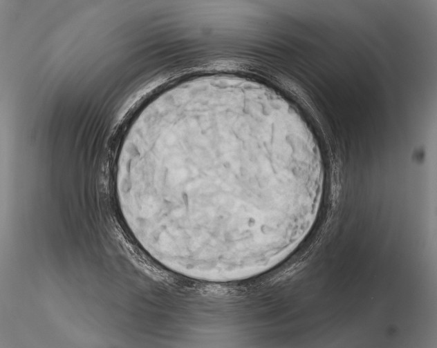 X0000115090827200912081233