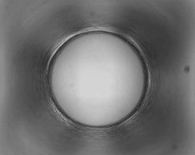 X0000115090828200912081233
