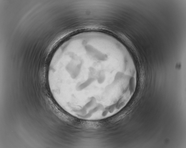 X0000115090831200912081233