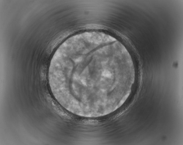 X0000115090833200912081233