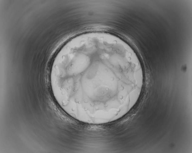 X0000115090835200912081233