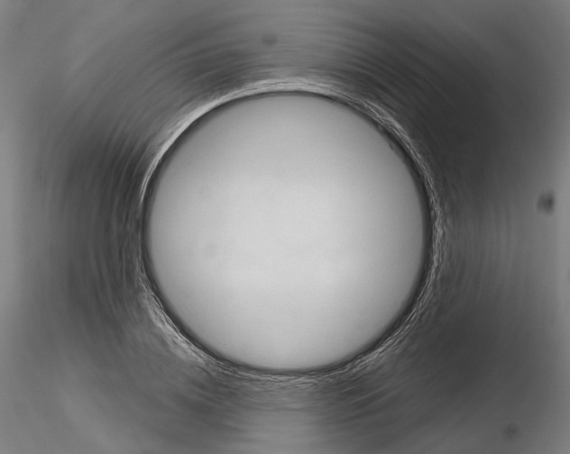 X0000115090836200912081233