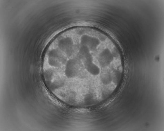 X0000115090837200912081233