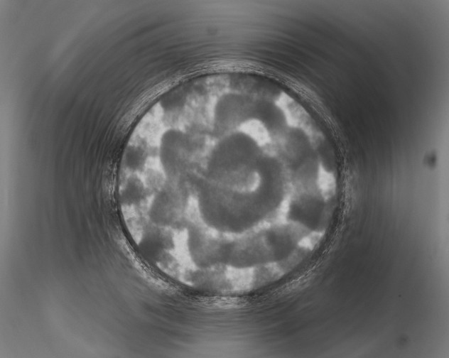 X0000115090841200912081233