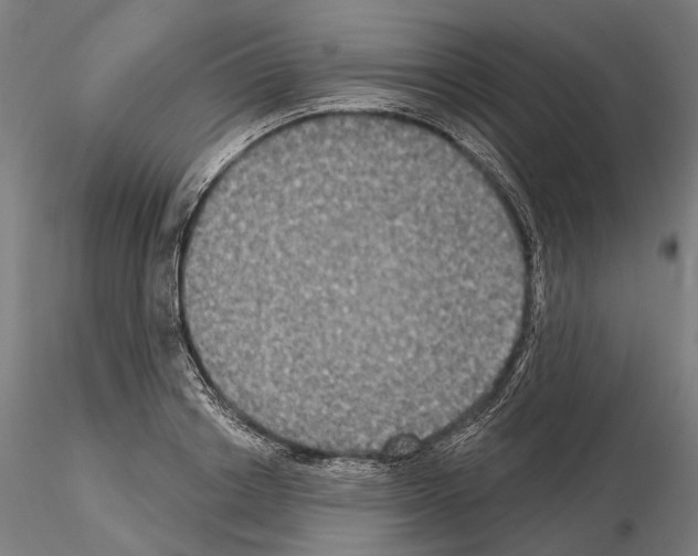 X0000115090842200912081233