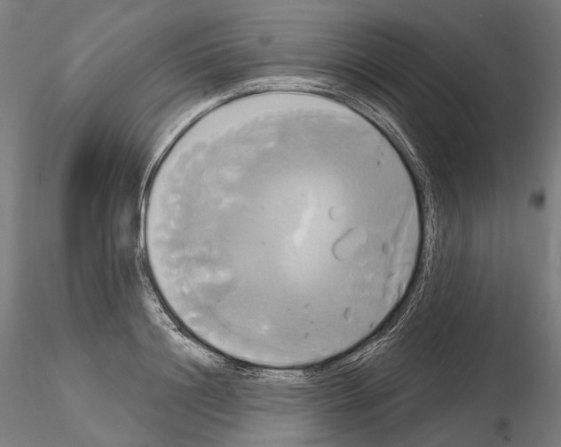 X0000115090844200912081233