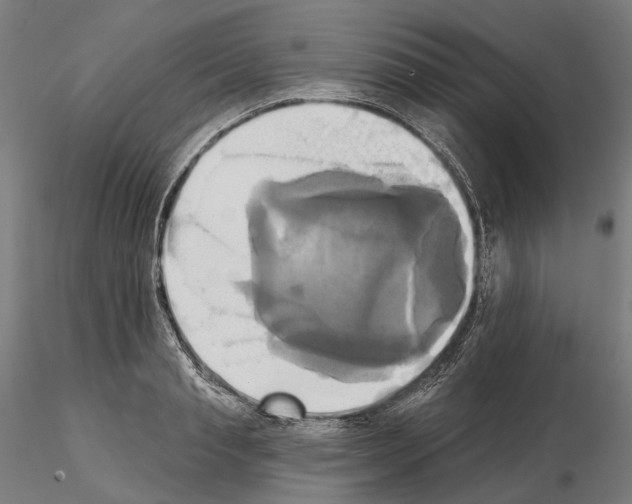 X0000115090845200912081233