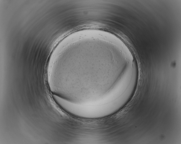 X0000115090850200912081233