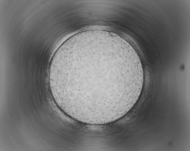 X0000115090852200912081233
