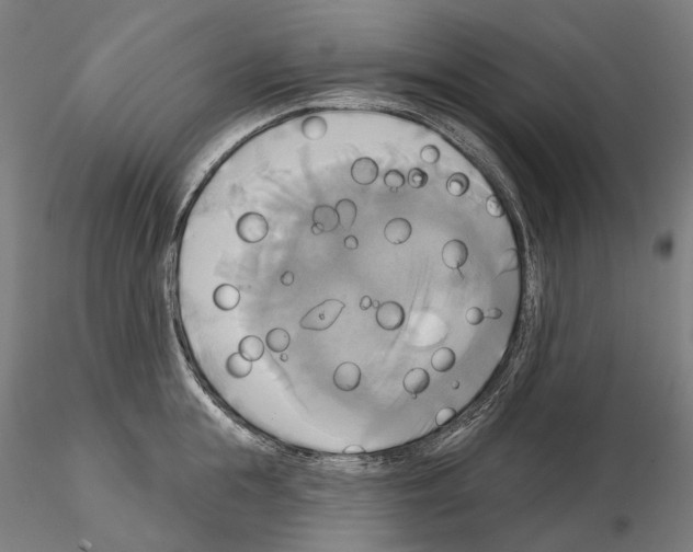 X0000115090855200912081233