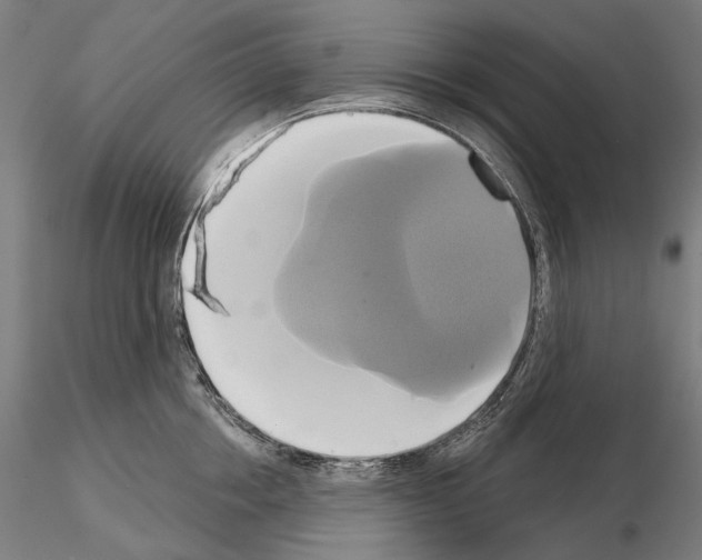 X0000115090858200912081233