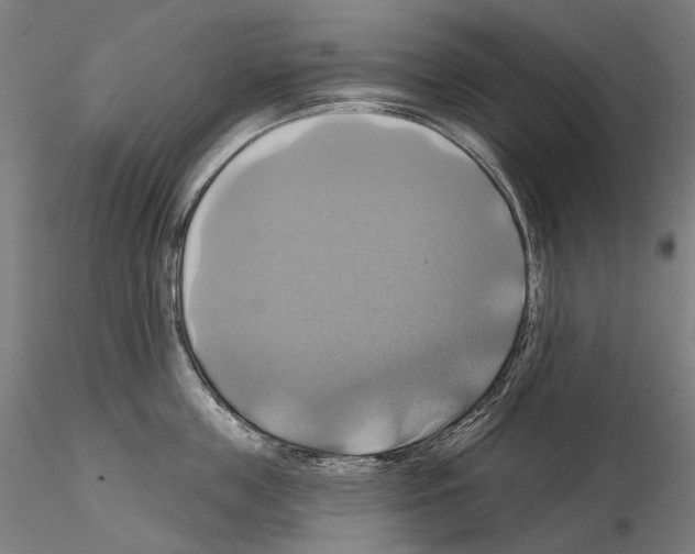X0000115090859200912081233