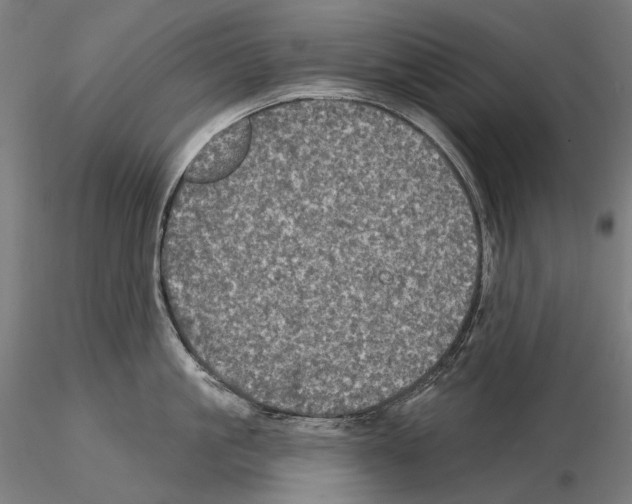X0000115090861200912081233