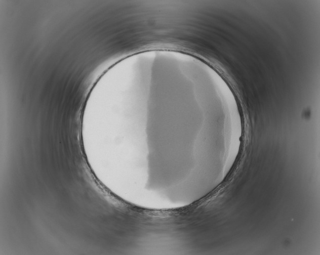 X0000115090862200912081233