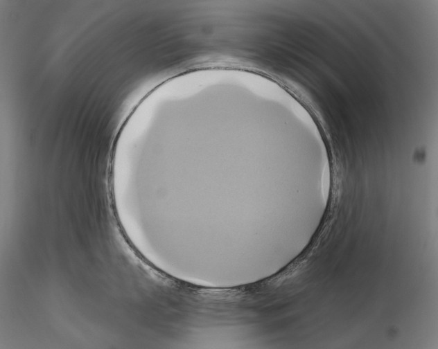 X0000115090863200912081233