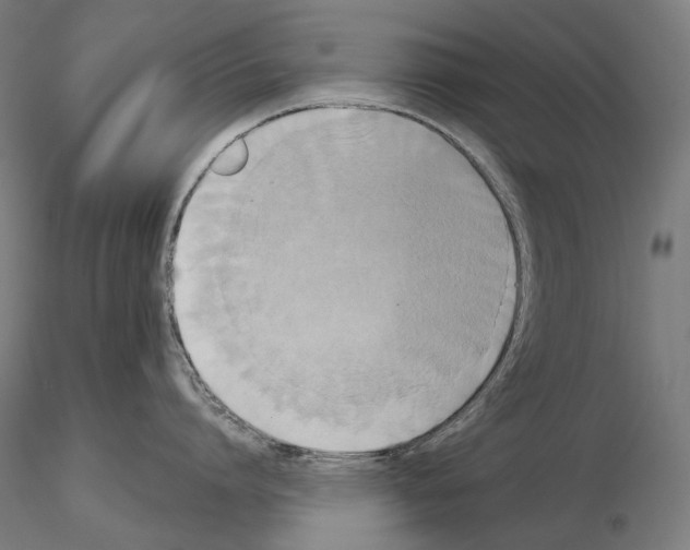 X0000115090864200912081233