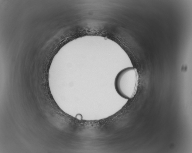 X0000115090865200912081232