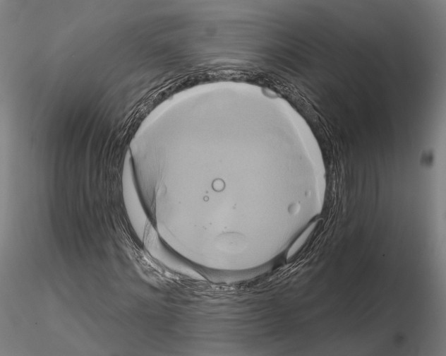X0000115090868200912081232