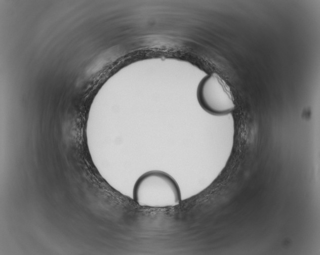 X0000115090869200912081232