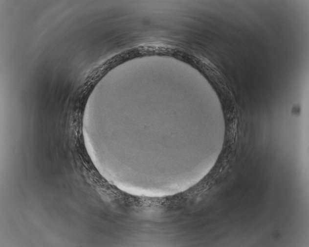 X0000115090870200912081232