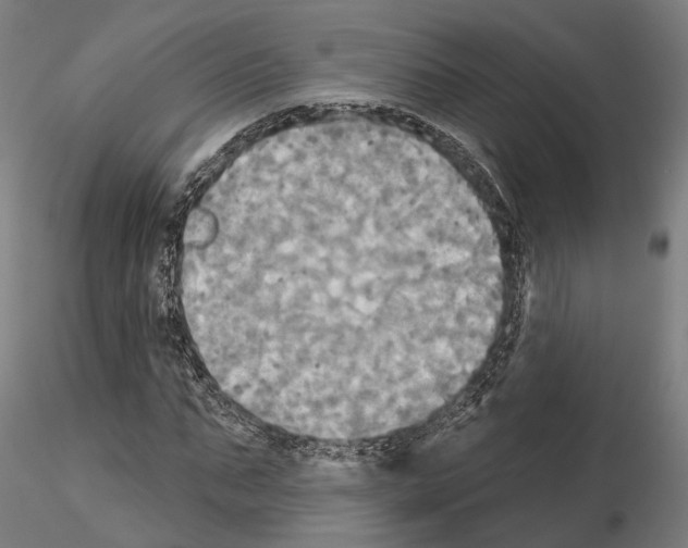 X0000115090871200912081232
